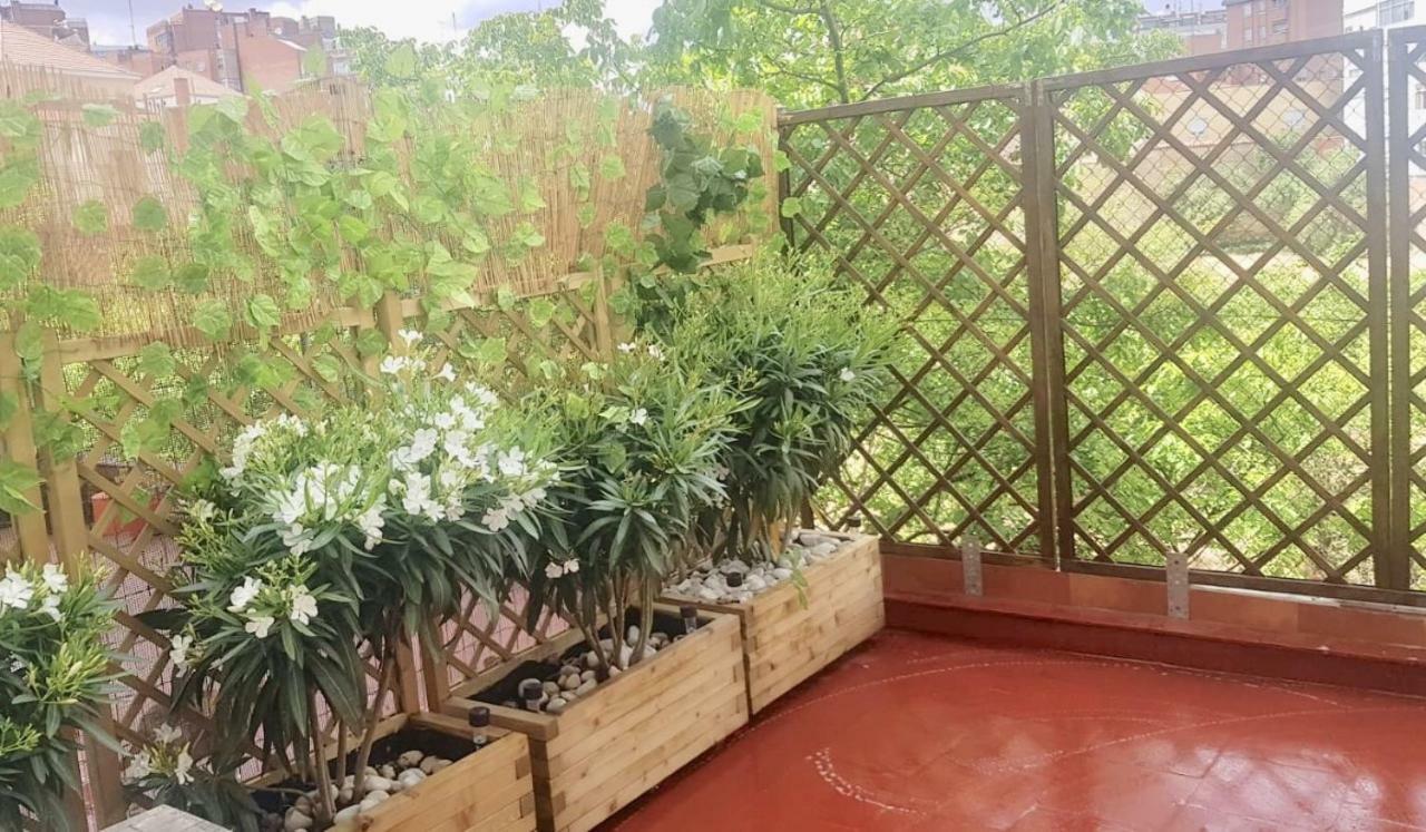 Apartamento San Quirce - Centrico Y Reformado- Wifi Y Netflix Valladolid Eksteriør billede