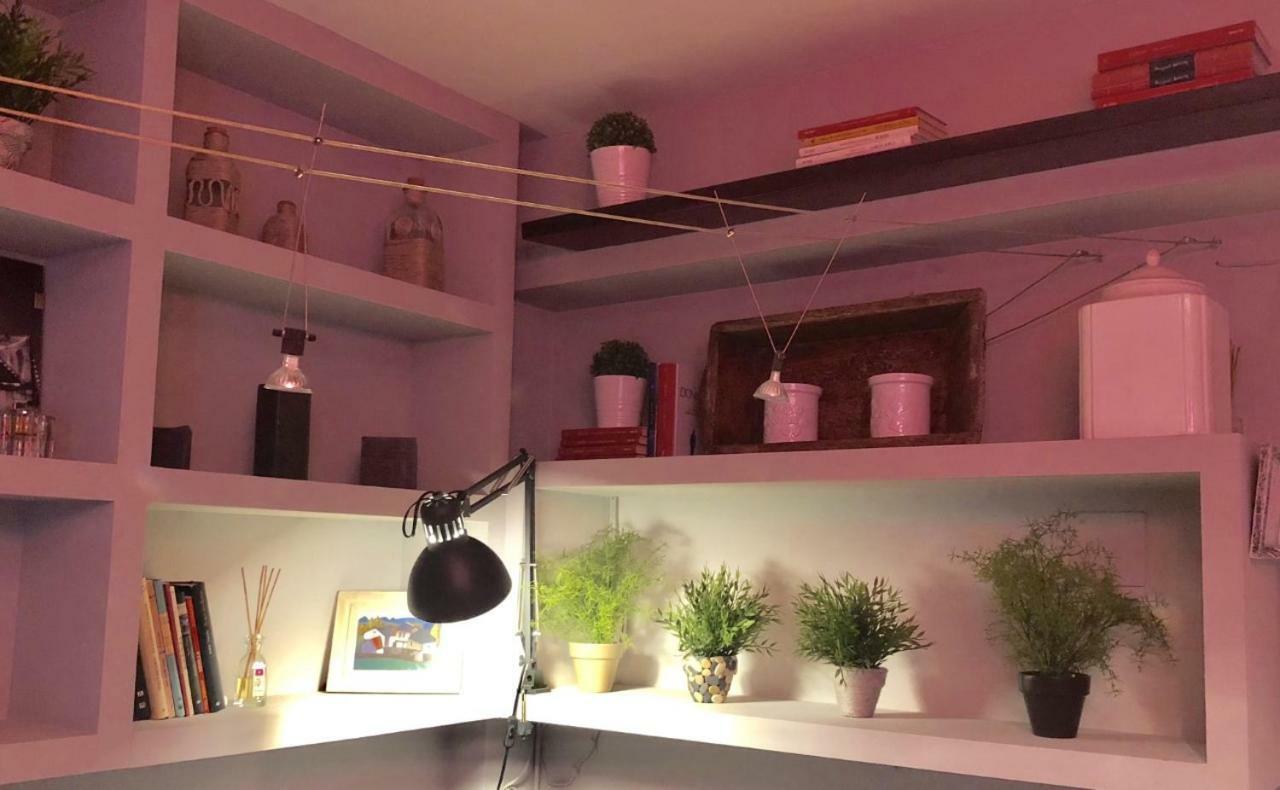 Apartamento San Quirce - Centrico Y Reformado- Wifi Y Netflix Valladolid Eksteriør billede